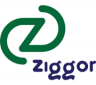 Ziggor Electric Scooters